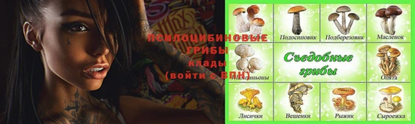 эйфоретик Аркадак