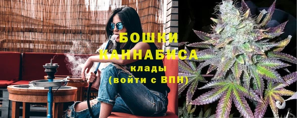 сатива Осинники
