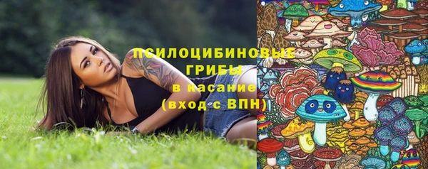 трава Армянск