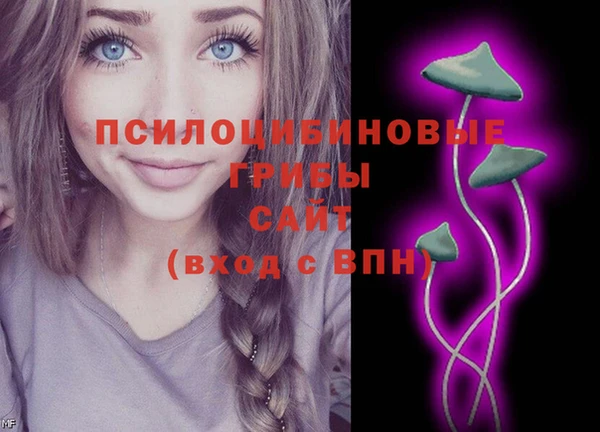 эйфоретик Аркадак