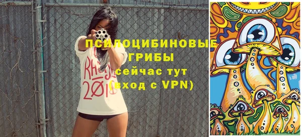 трава Армянск