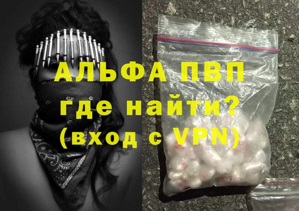сатива Осинники